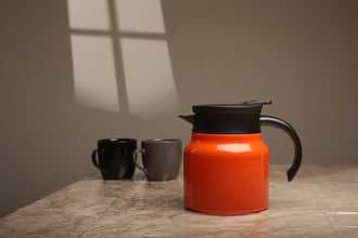 Stainless Steel Double Wall Vacuum Insulated Flask | Orange