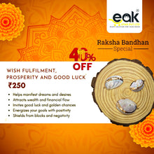 Eakstar | Wish Fulfilment Shell Charm