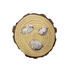 Eakstar | Wish Fulfilment Shell Charm